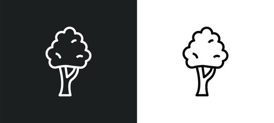 black birch tree icon isolated in white and black colors. black birch tree outline vector icon from nature collection for web, mobile apps and ui.