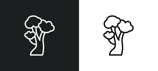 american beech tree icon isolated in white and black colors. american beech tree outline vector icon from nature collection for web, mobile apps and ui.