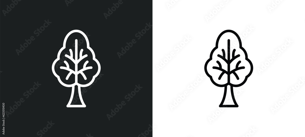 Poster tree with big foliage icon isolated in white and black colors. tree with big foliage outline vector 