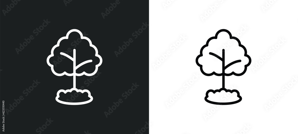 Poster tree growing icon isolated in white and black colors. tree growing outline vector icon from nature c