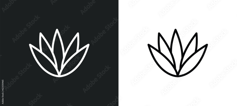 Poster agave icon isolated in white and black colors. agave outline vector icon from nature collection for 
