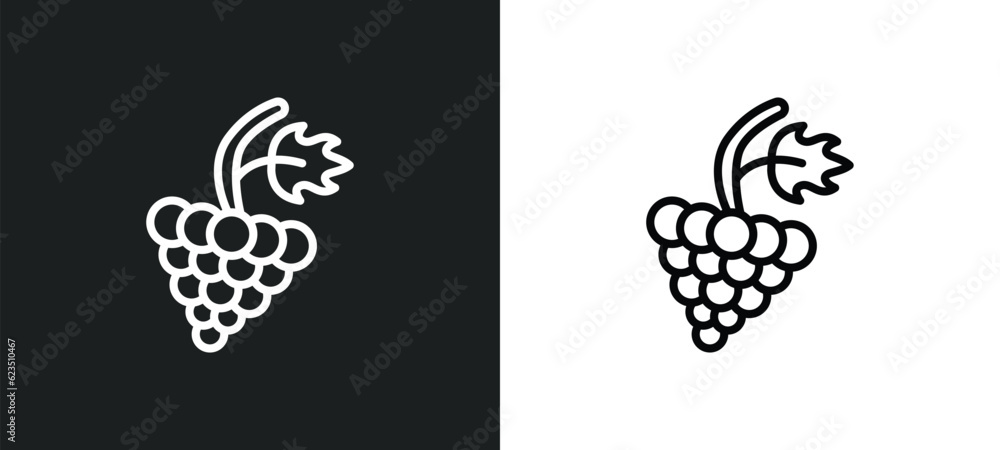 Poster grapevine icon isolated in white and black colors. grapevine outline vector icon from nature collect