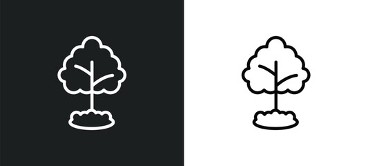 tree growing icon isolated in white and black colors. tree growing outline vector icon from nature collection for web, mobile apps and ui.