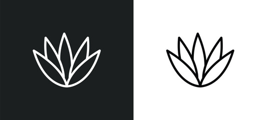 agave icon isolated in white and black colors. agave outline vector icon from nature collection for web, mobile apps and ui.