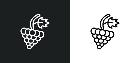 grapevine icon isolated in white and black colors. grapevine outline vector icon from nature collection for web, mobile apps and ui.