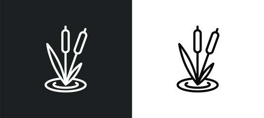 reeds icon isolated in white and black colors. reeds outline vector icon from nature collection for web, mobile apps and ui.