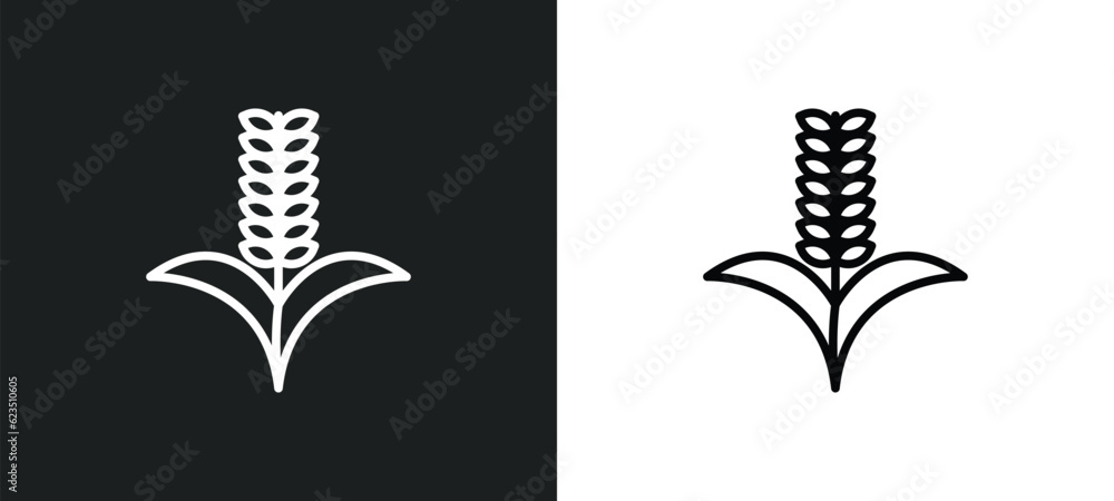 Poster grains icon isolated in white and black colors. grains outline vector icon from nature collection fo