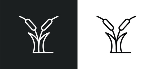 reed bed icon isolated in white and black colors. reed bed outline vector icon from nature collection for web, mobile apps and ui.