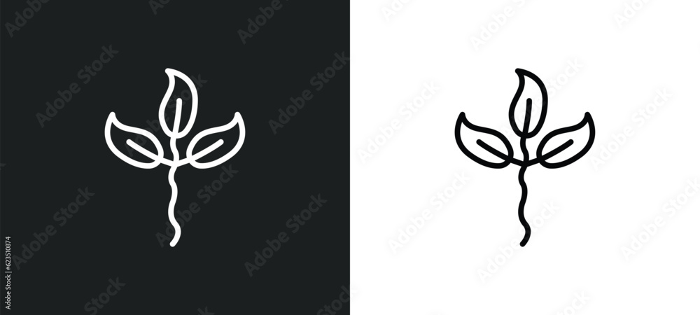 Poster cuspicate icon isolated in white and black colors. cuspicate outline vector icon from nature collect