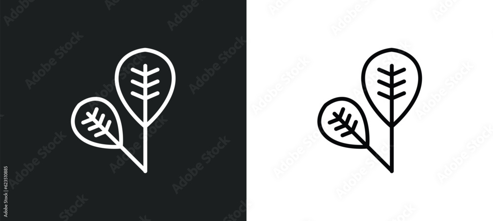 Poster obovate icon isolated in white and black colors. obovate outline vector icon from nature collection 