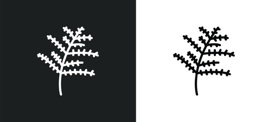 cypress leaf icon isolated in white and black colors. cypress leaf outline vector icon from nature collection for web, mobile apps and ui.