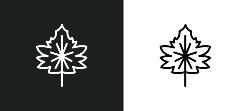 hawthorn leaf icon isolated in white and black colors. hawthorn leaf outline vector icon from nature collection for web, mobile apps and ui.