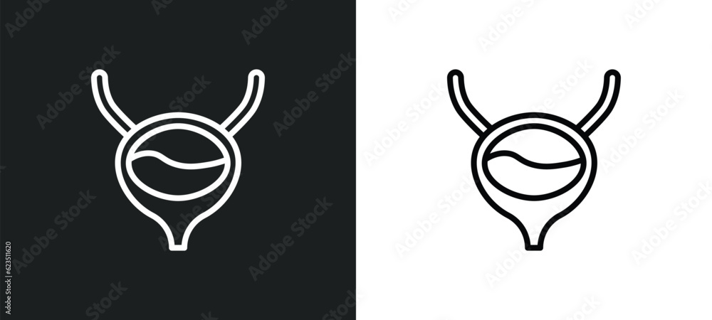 Poster bladder icon isolated in white and black colors. bladder outline vector icon from medical collection