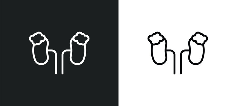 adrenal gland icon isolated in white and black colors. adrenal gland outline vector icon from medical collection for web, mobile apps and ui.