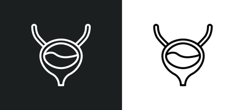 bladder icon isolated in white and black colors. bladder outline vector icon from medical collection for web, mobile apps and ui.