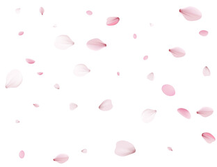 Flying Spring Cherry.