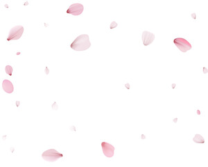 Flying Spring Cherry.