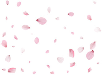 Flying Spring Cherry.