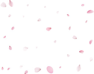 Flying Spring Cherry.
