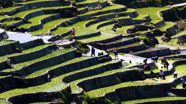 The terraced fields of Y Ty commune, Lao Cai province, Vietnam with a farmers in the beautiful sky
