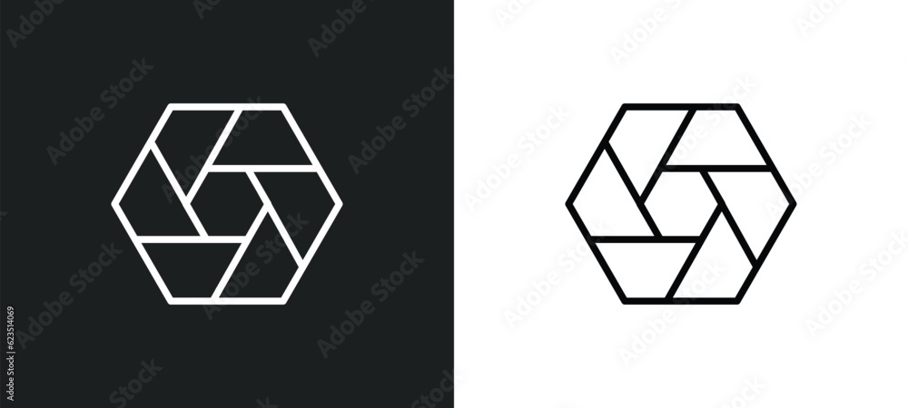 Poster polygonal hexagon icon isolated in white and black colors. polygonal hexagon outline vector icon fro