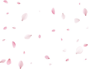 Flying Spring Cherry.