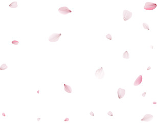 Flying Spring Cherry.