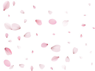 Flying Spring Cherry.