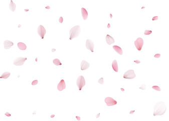 Flying Spring Cherry.