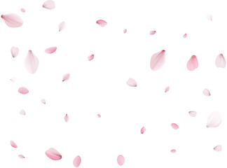 Flying Spring Cherry.