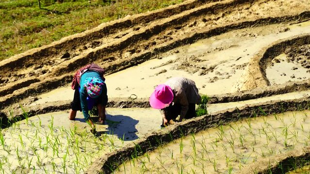 The terraced fields of Y Ty commune, Lao Cai province, Vietnam with a farmers in the beautiful sky
