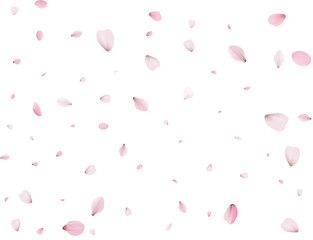 Flying Spring Cherry.