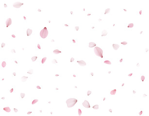 Flying Spring Cherry.