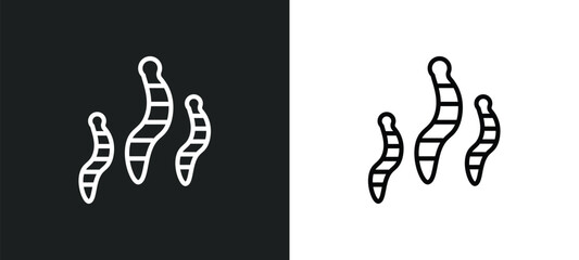worms icon isolated in white and black colors. worms outline vector icon from food collection for web, mobile apps and ui.