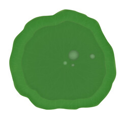 Big lotus leaf, all green, no marks No yellow, small, withered leaves