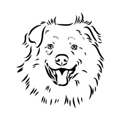 Vector isolated one single Australian Shepherd dog head black and white bw two colors silhouette. Template for laser engraving or stencil