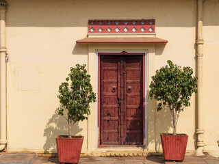 Traditional door in palace of Rajasthan.