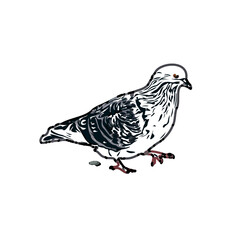 sketch of a dove with transparent background