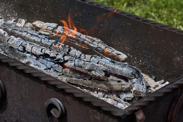 Firewood is burning in the grill on the green lawn. Barbecue will be cooked on the coals. Close-up.