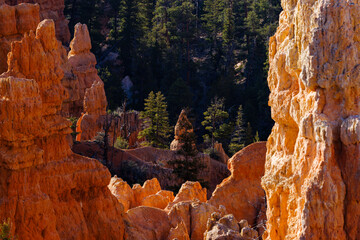 Rock formations and hoodoo’s from Fairyland Canyon in Bryce Canyon National Park in Utah during spring.
