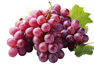 violet grapes isolated on transparent background. png grape. clip art. Ripe red wet grape with drops