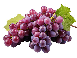 violet grapes isolated on transparent background. png grape. clip art. Ripe red wet grape with drops