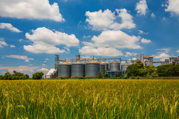 Plant for the drying and storage stainless silo grain. Rice plant in the middle of fields. © chitsanupong