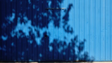 tree shadows over blue industrial door