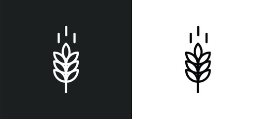 oat icon isolated in white and black colors. oat outline vector icon from agriculture farming collection for web, mobile apps and ui.
