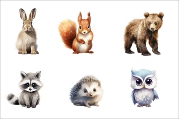 Keuken foto achterwand Uiltjes Set ?ute baby funny animals hare, squirrel, bear, raccoon, hedgehog, owl in watercolor style. Flat vector illustrations isolated on white background
