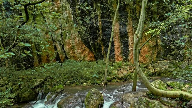 Sagittario river flows fast between rocks and woods near the Cavuto Springs, Anversa, Abruzzo, Italy, Europe