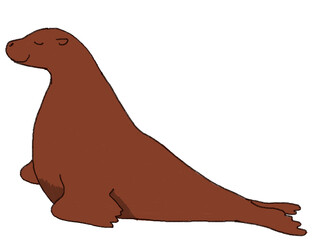 アシカのイラスト