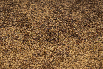 Cracked Black Pepper texture background