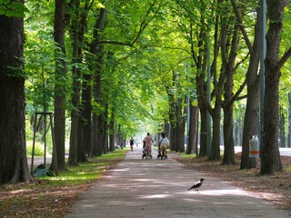 Wiener Prater